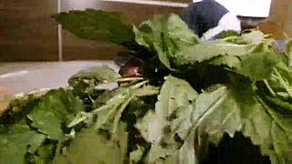 Exploring stinging nettle sensations in a casual fetish session by the garden