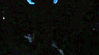 Scarlett Johnson screams in blacklight sex POV fetish!