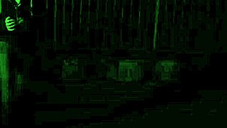 Professional Stalker Targets Prey