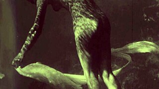 In vintage times, people enjoyed underwater sports with antique gear.