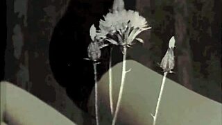 dark lantern vintage entertainment