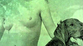 dark lantern vintage entertainment