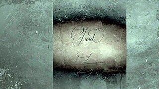 Brunette Hottie Agrees to Ride Dick