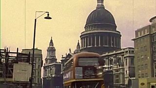 Brunette Hottie Agrees to Ride Dick