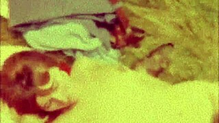 A Relaxing Trip to the Seaside