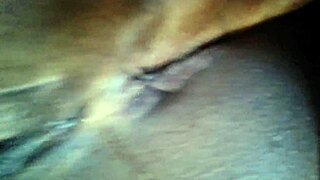 Ms Ann's huge hairy pussy fun