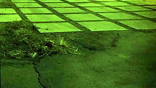 Anal Retrospective 2020 With Capoeira Stars 😈