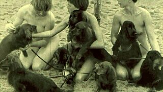 hey, check these vintage nature girls from dark lantern entertainment! 🌿