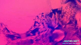 fucked hard by two cocks vol 14