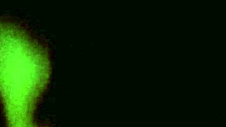 Amateur Latina's pussy gets pounded