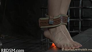 sadomasochism hardcore porn video description