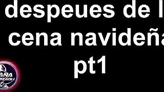 Dana Barzagli After Christmas Dinner