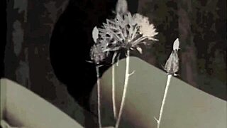 Vintage fantasy with step sister