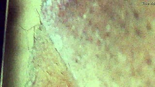 angeldiabla4 masturbates publicly on webcam outdoors in thrilling display!