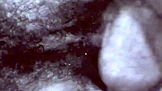 Dark Lantern Entertainment Unveils Two Centuries of Vintage Porn!