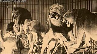 retro women with natural tits fuck animals in nature