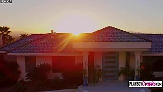 Bound swingers push boundaries in group reality