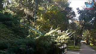 Give me a public blowjob on the ferris wheel and swallow my cum?