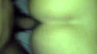 Group swingers gathering for fun