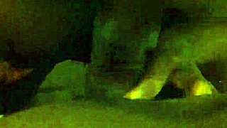 Ebony bbw enjoys a casual trim session.