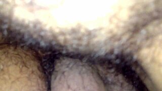 esposa perra en casa