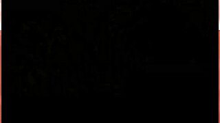 Key Of Egg Game Part Five