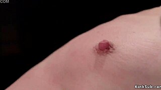 Small tits slave gets anal toyed in rough bondage.