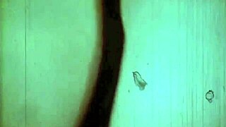 Wow! Vintage London threesomes in swinging sixties shadows. Dark anal action awaits!