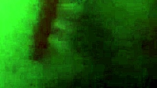 Kamilly Campos Teases With Dildo In Ass