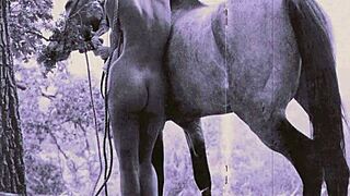 dark lantern presents vintage nature girls in nudist settings