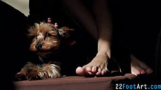 Belle ragazze sborrano sui piedi dolci in doggystyle