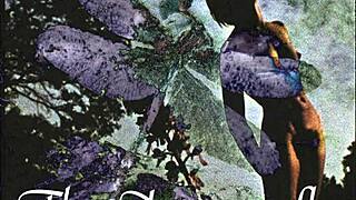 dark lantern entertainment presents the dragonfly in retro vintage group