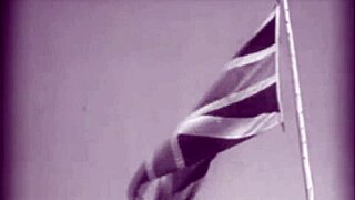 dark lantern entertainment presents the dragonfly in retro vintage group