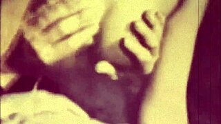 dark lantern entertainment presents the dragonfly in retro vintage group