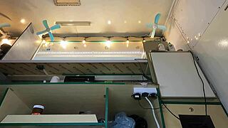 Boss adjusts Alice's panties for optimal pussy display outdoors