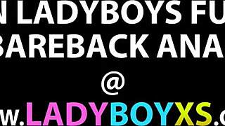 azijska ladyboy z repki prikazuje svoje spretnosti v sproščeni POV seansi