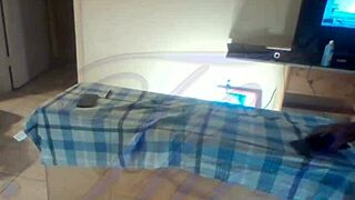 Amateur homemade African American pussy threesome fuck