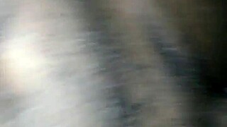 Big Titty Head and Backshots! Cum on That Huge Ass!