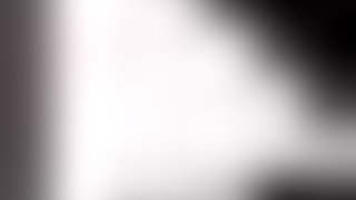 bulma's busty adventure