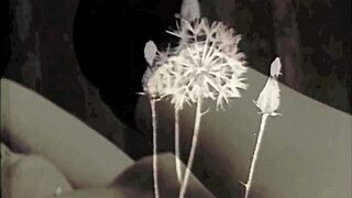 vintage dark lantern london vintage interracial taboo british antique hairy