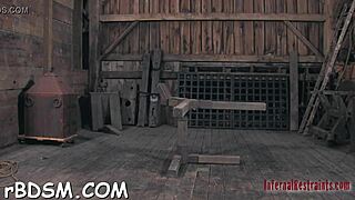 The third episode in the series