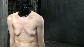 Prodding brunette's tight hole with toys.