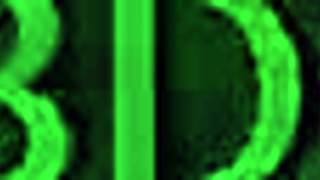 Gata Enjaulada Deseja Tormento em Jogo Sexy