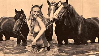 dark lantern entertainment presents beauty and the beast