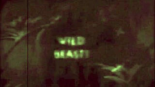 dark lantern entertainment presents beauty and the beast