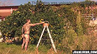 homemade orange juice preparation video