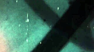 tgirls xxx zariah auras luscious body