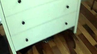 Gamer loses bet to her roommate and sucks his big cock!