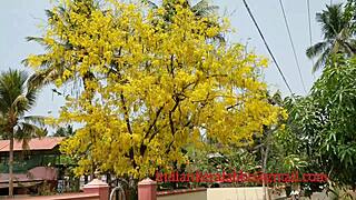 Desi Massage with Mallu Aunty and BBC