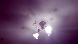 the story of the number 20 in a lower case narrative style